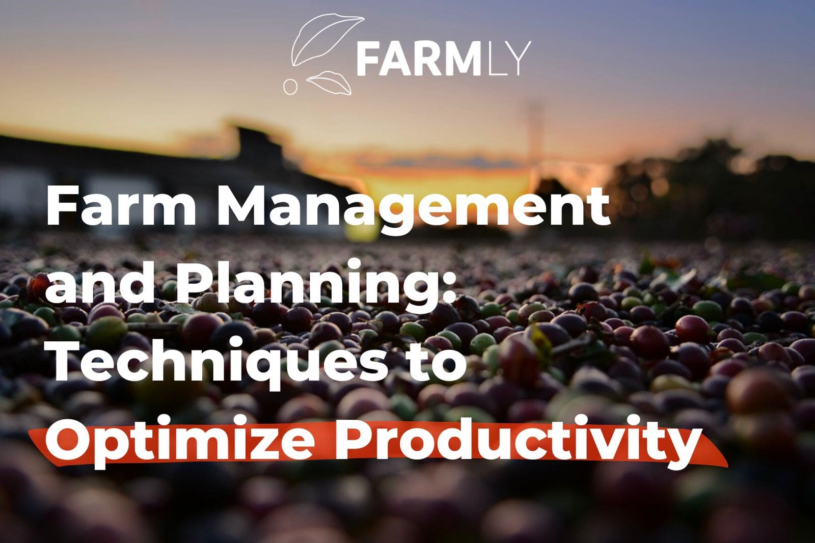 Farm Management and Planning: Techniques to Optimize Productivity