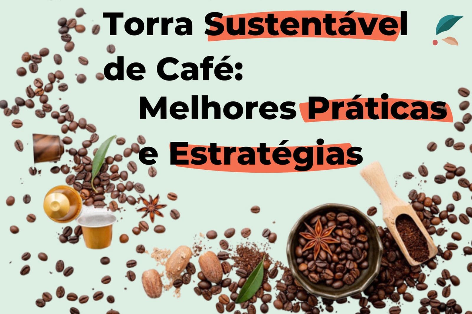 Torra Sustentável de Café: Melhores Práticas e Estratégias