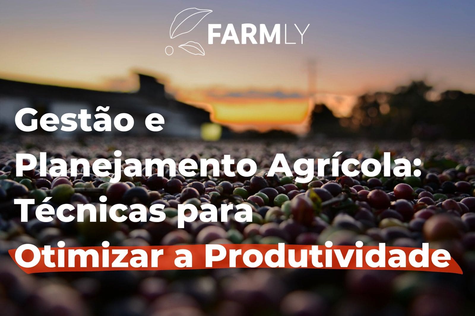 Gestão e Planejamento Agrícola: Técnicas para Otimizar a Produtividade