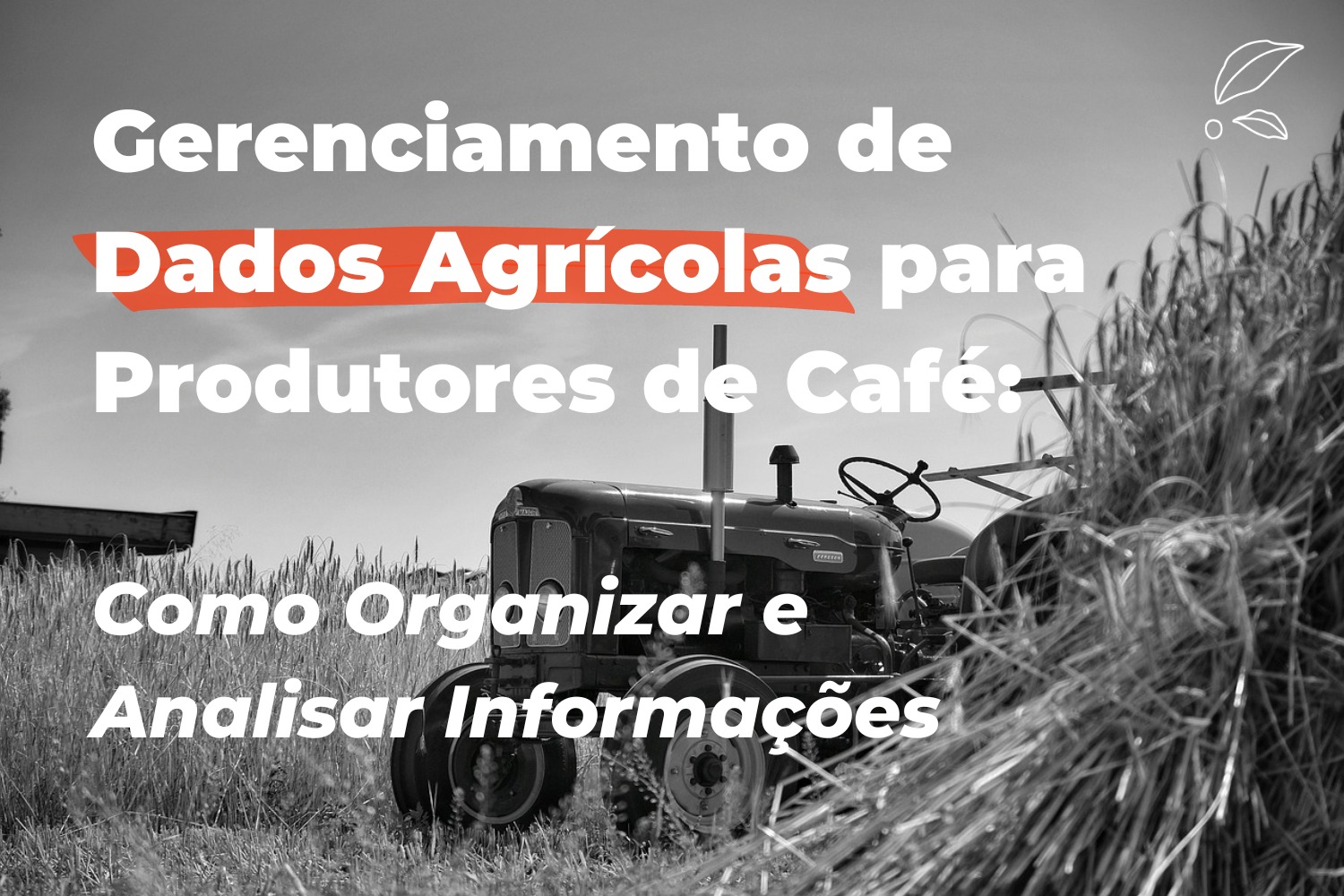 Gerenciamento de Dados Agrícolas para Produtores de Café: Como Organizar e Analisar Informações