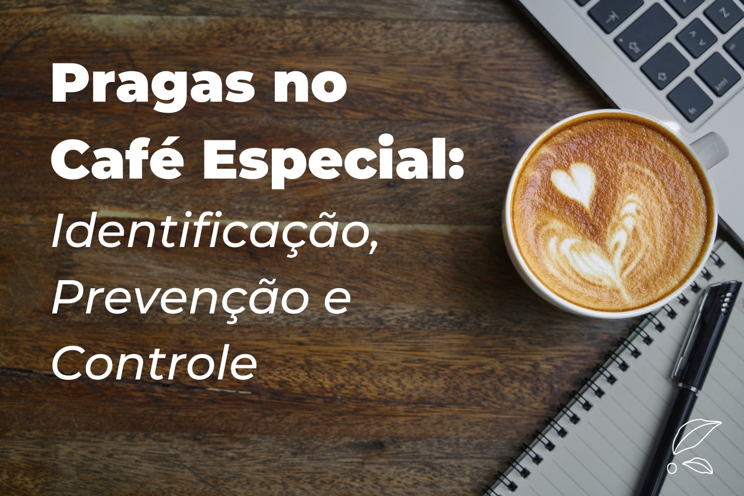 Pragas no Café Especial: Identificação, Prevenção e Controle