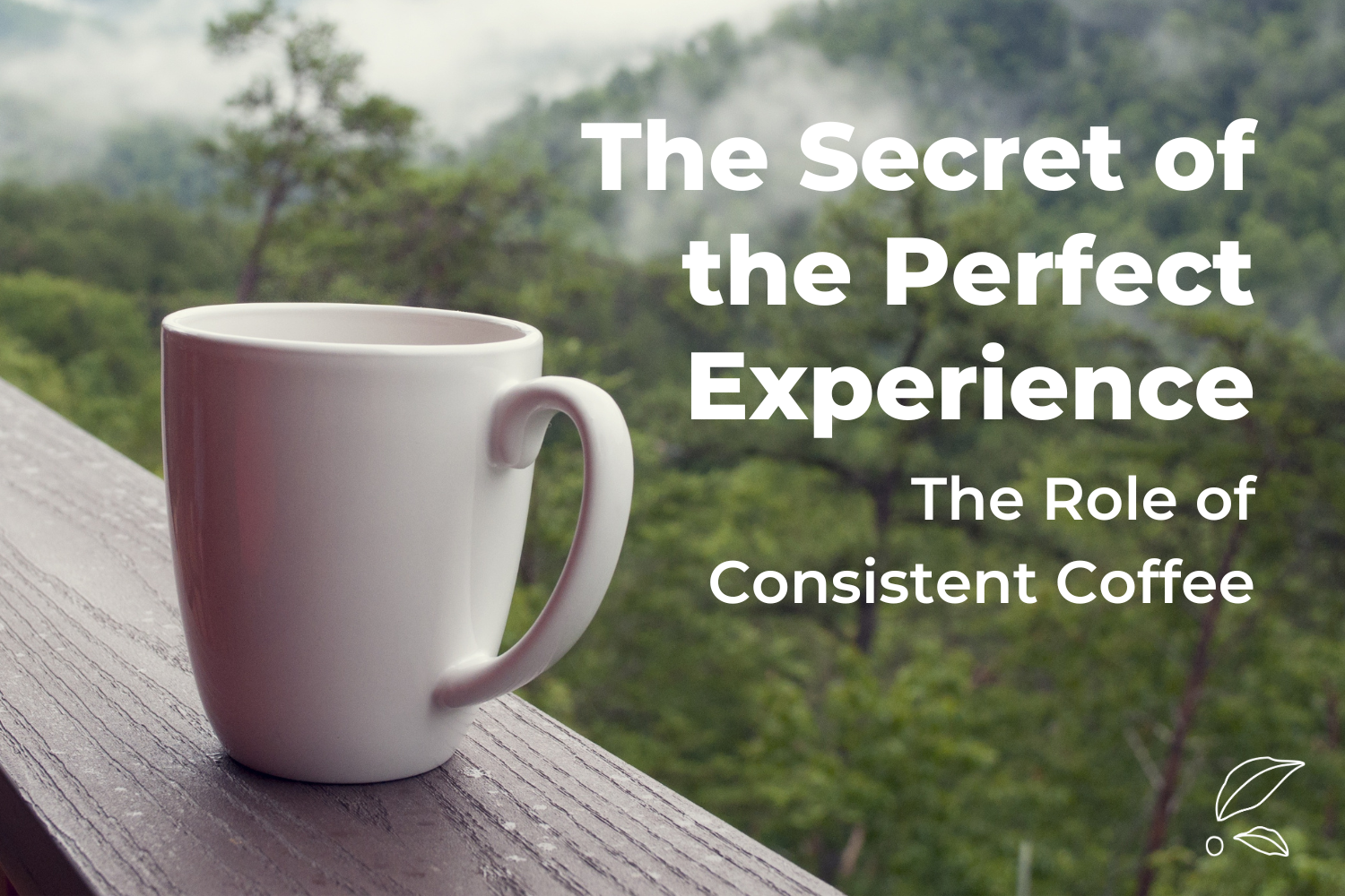 The Secret of the Perfect Experience: The Role of Consistent Coffee