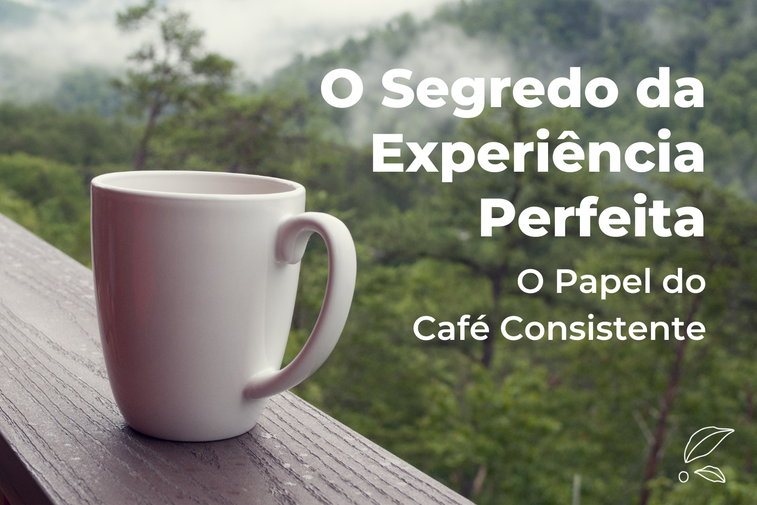 O Segredo da Experiência Perfeita: O Papel do Café Consistente