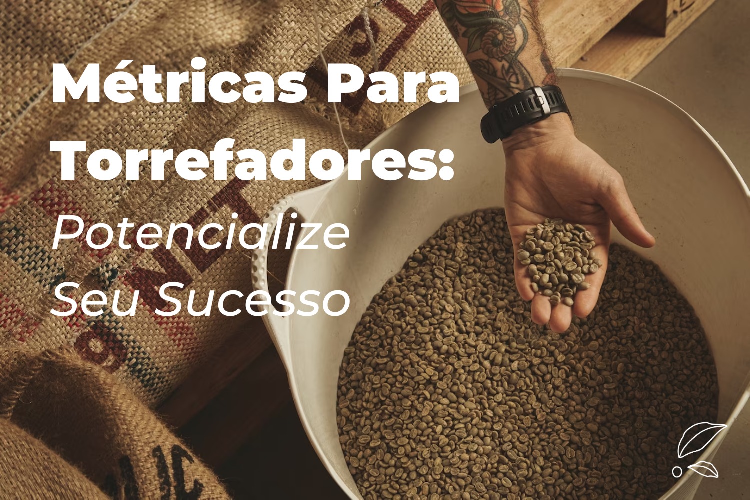 Métricas Para Torrefadores: Potencialize Seu Sucesso