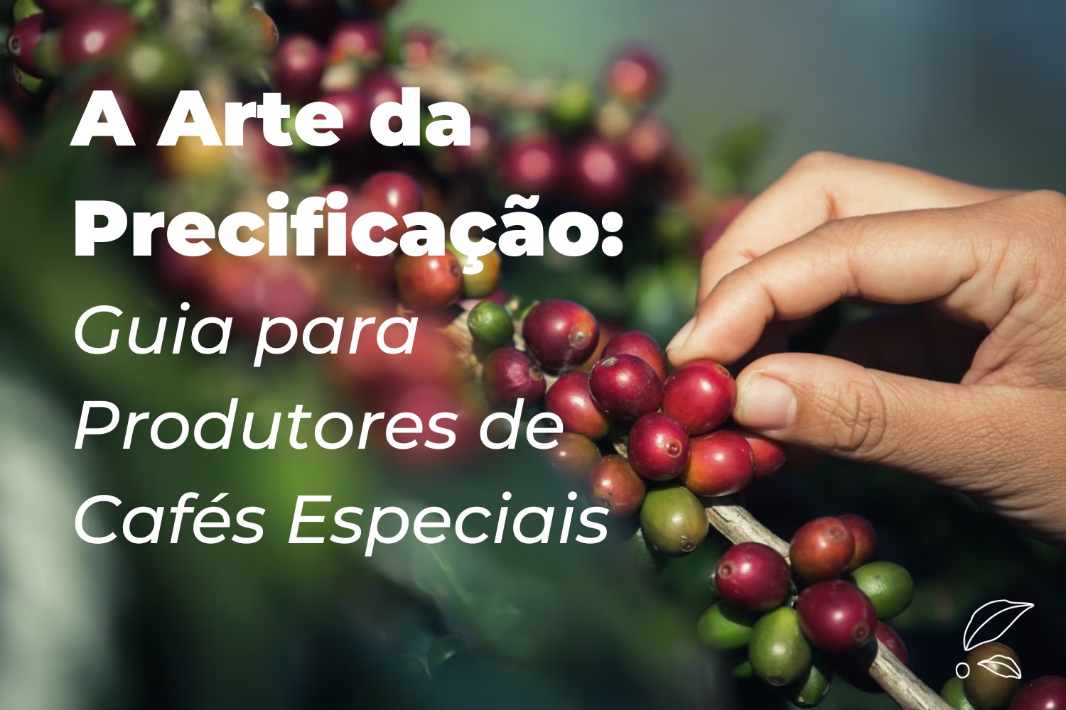 A Arte da Precificação: Guia para Produtores de Cafés Especiais