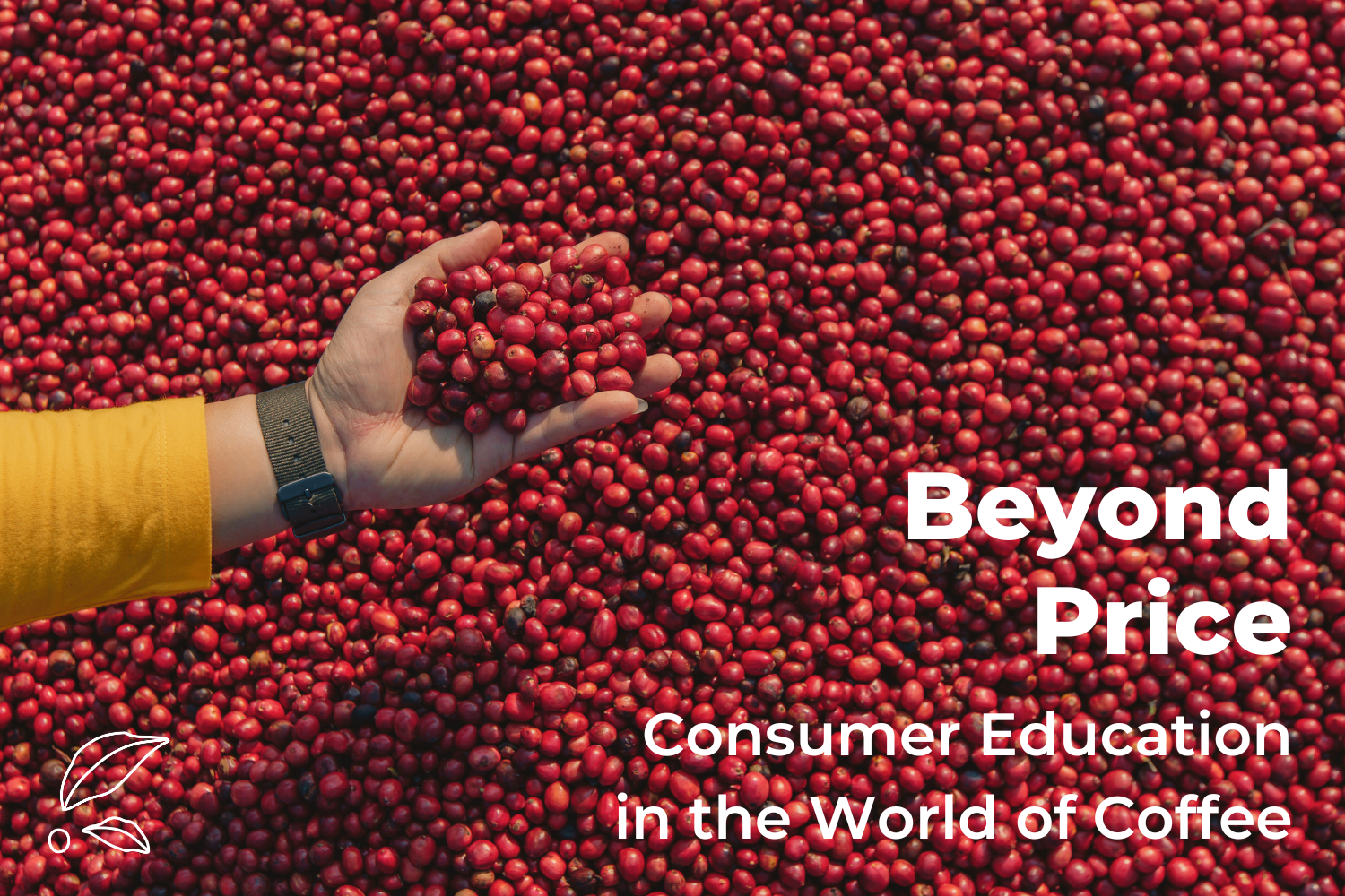 Beyond Price: Consumer Education in the World of Coffee