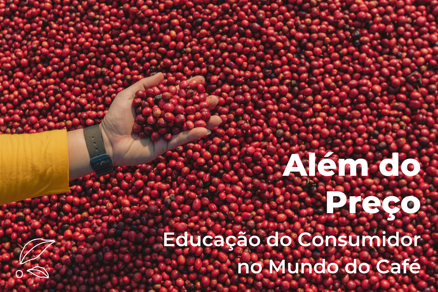 Além do Preço: Educação do Consumidor no Mundo do Café