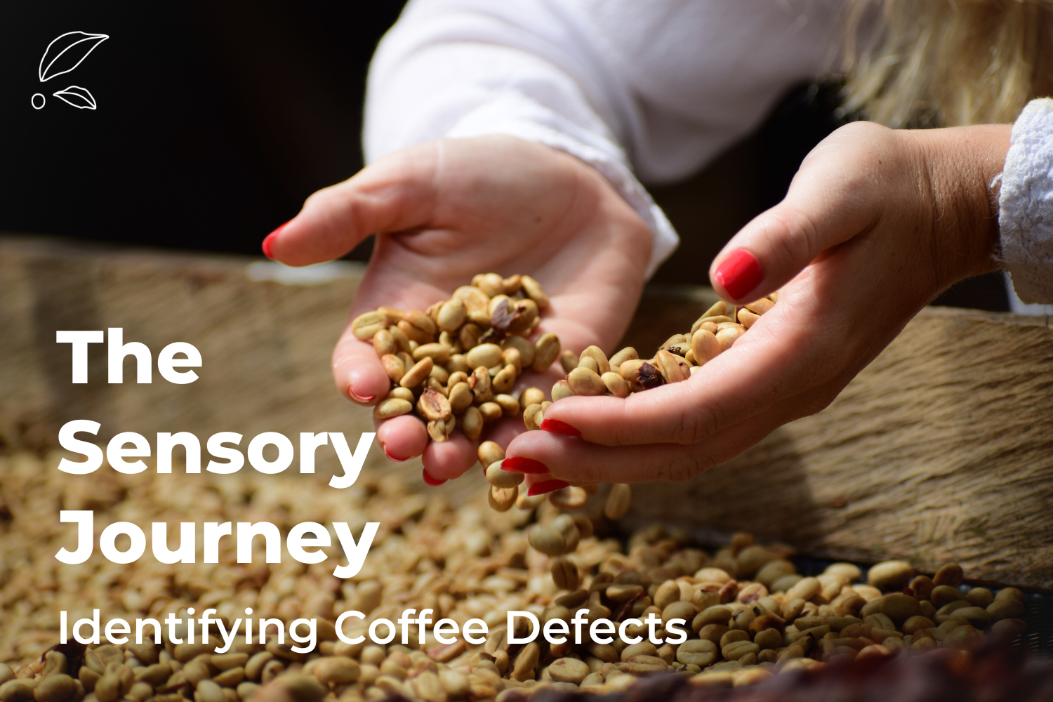 The Sensory Journey: Identifying Coffee Defects