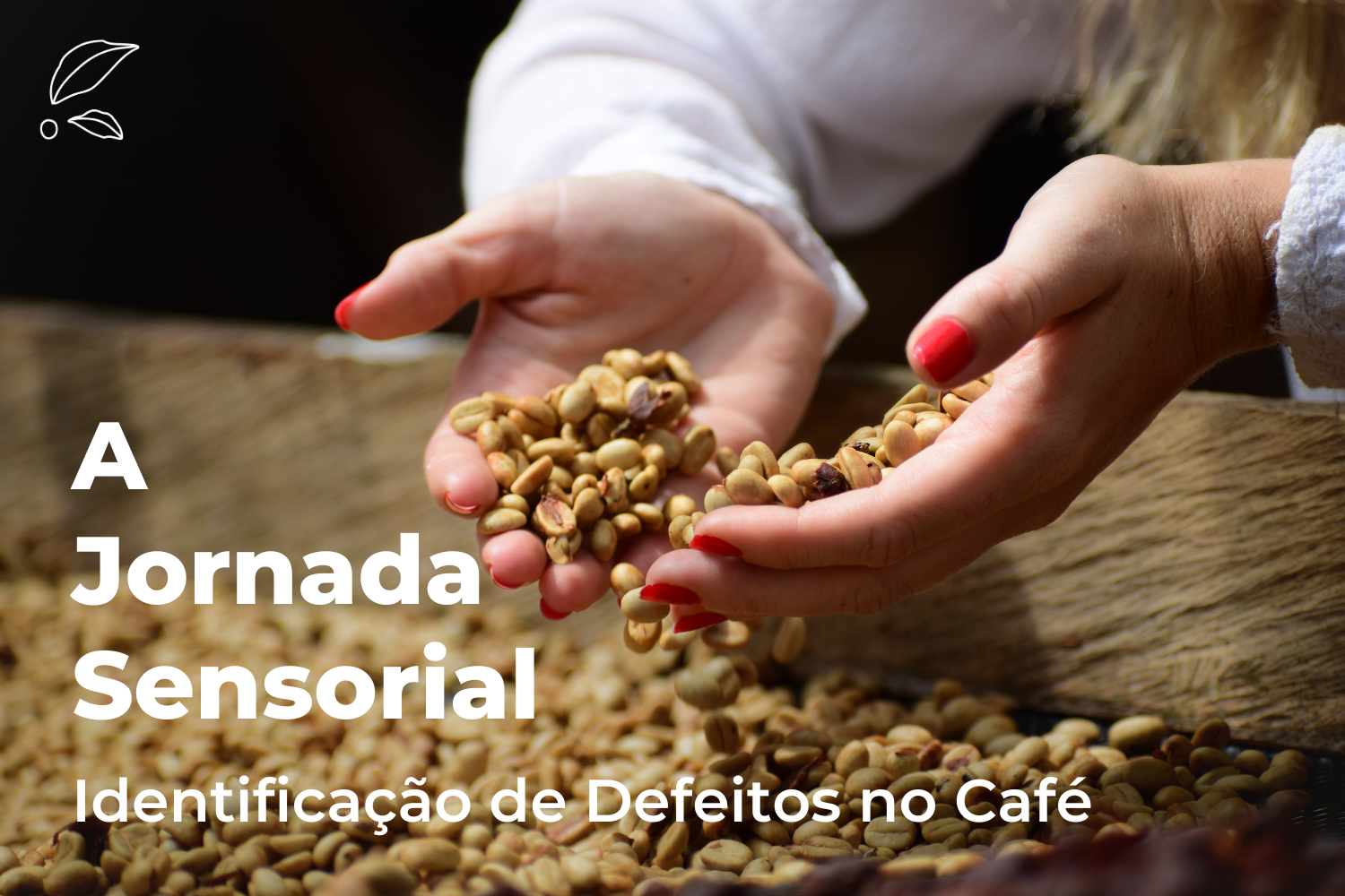 A Jornada Sensorial: Identificação de Defeitos no Café